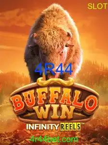 BuffaloWin